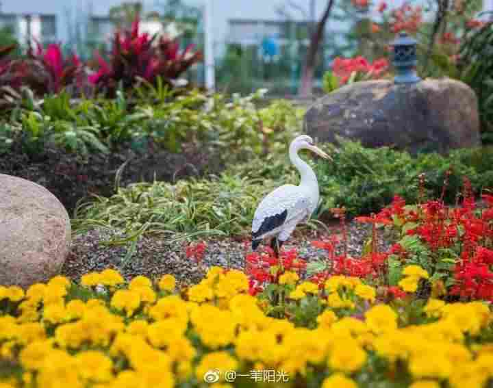 此刻，零下5度的长春人向往春暖花开的厦门…“大厦之门 乐活海沧”走进长春！